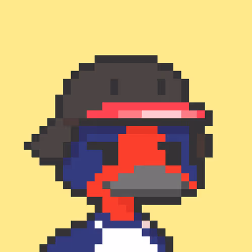 Where The Duck