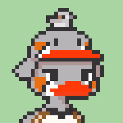 Where The Duck