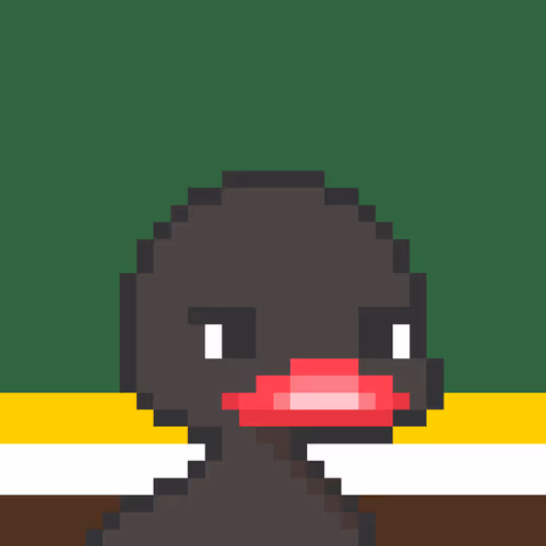 Where The Duck