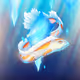 Koi Eel