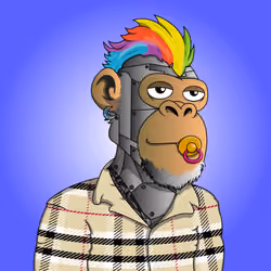 Degen Apes #238
