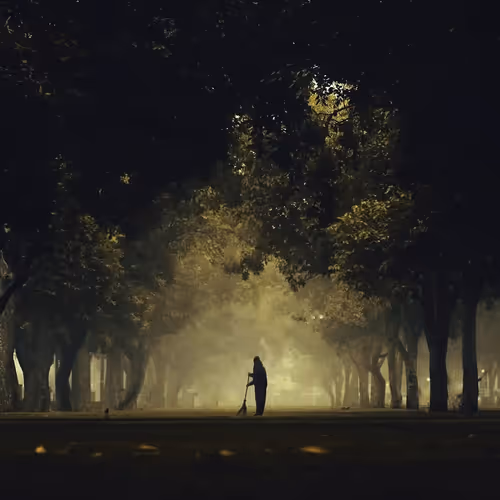 In Shadows