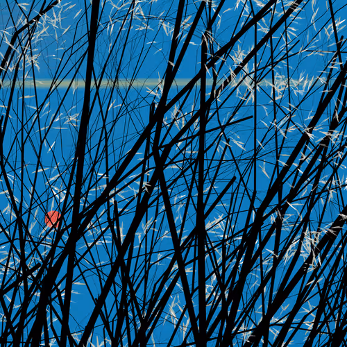 Conversation With The Wind Ii