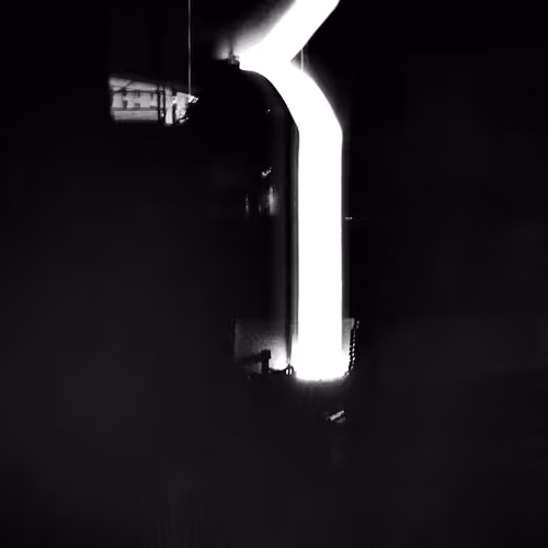Rodeo Posts 9742
