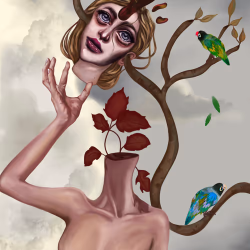 Transformation 14