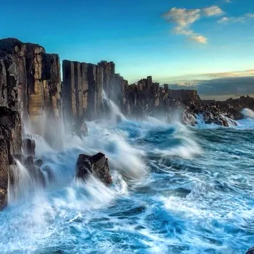 Nature321 #1