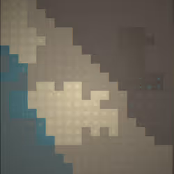 20317