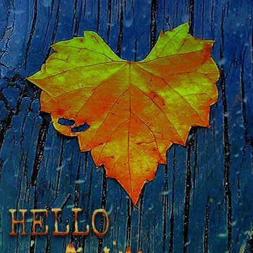 Hello Onchain Autumn