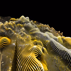 Fragment1