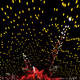 Fragment8