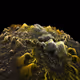 Fragment3