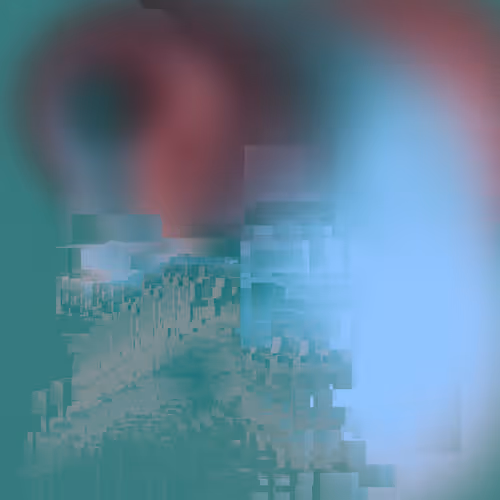 Item #47 Media