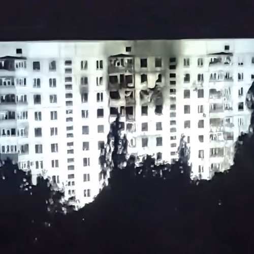 New Reality