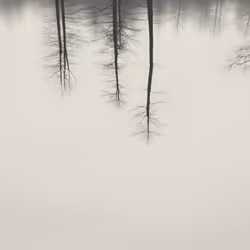 110