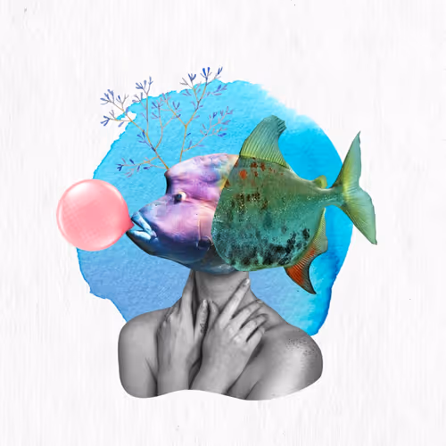 Collage M8 24 1