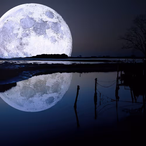 moon zora