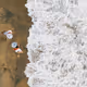 Aerial Waves