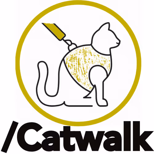 /Catwalk Channel Casting Access Pass