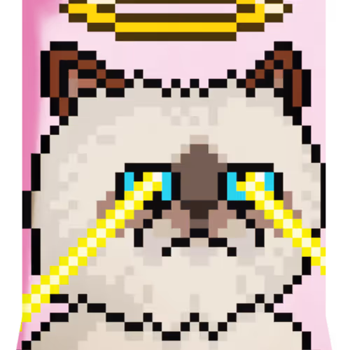 Mr Cat