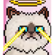 Mr Cat