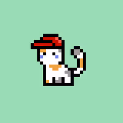 pix cats #5744
