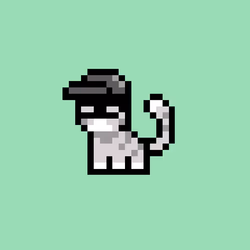 pix cats #4040