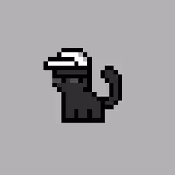 pix cats #7200