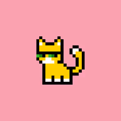 pix cats #1403