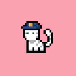 pix cats #4783