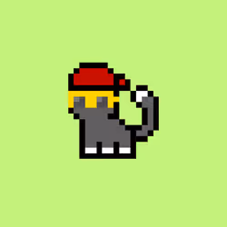 pix cats #1579