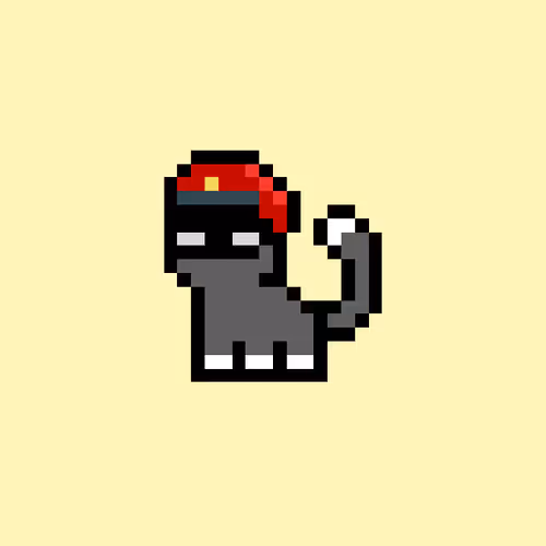 pix cats #4123