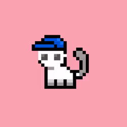 pix cats #7848