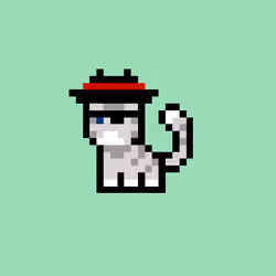 pix cats #6342
