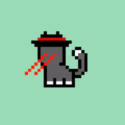 pix cats #1900