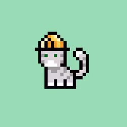 pix cats #6743
