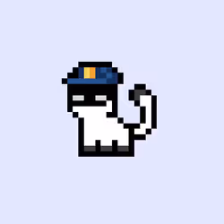 pix cats #8008