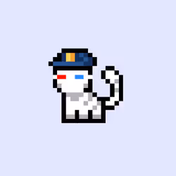 7807