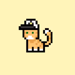 pix cats #8089