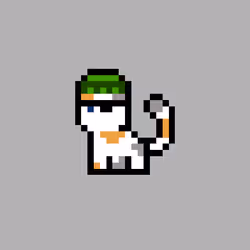 pix cats #7759