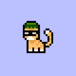pix cats #7020