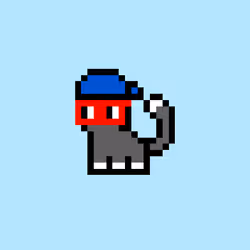 pix cats #1908