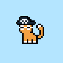 pix cats #1867