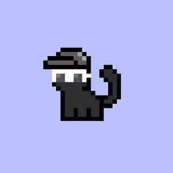 pix cats #7431