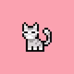 pix cats #5343
