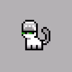pix cats #3400
