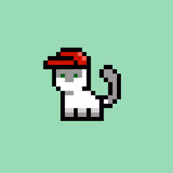 pix cats #5434