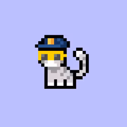 pix cats #6752