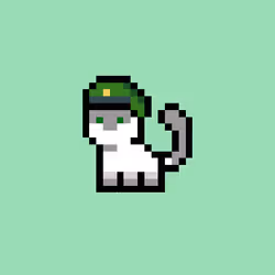 pix cats #7695