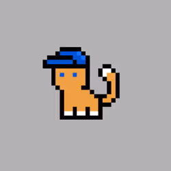 pix cats #7003