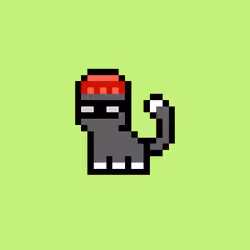 pix cats #5807